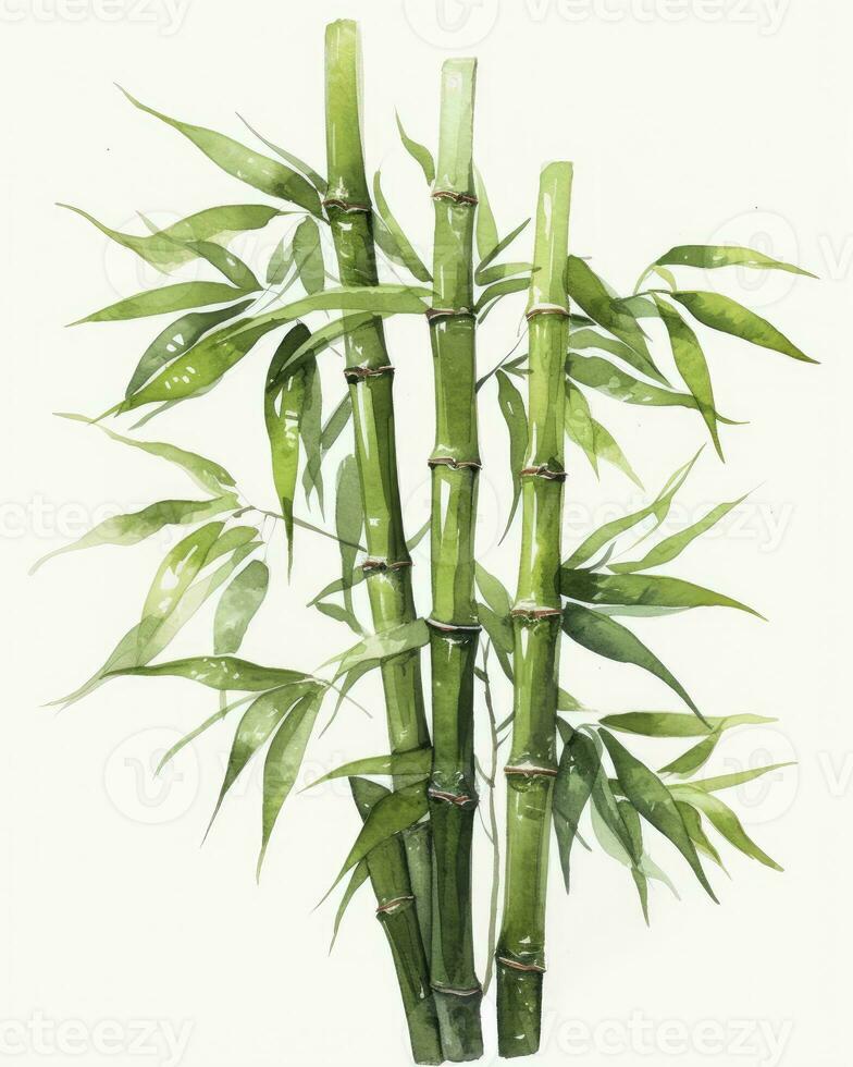 ai genererad vattenfärg bambu ClipArt isolerat på vit bakgrund. ai genererad foto