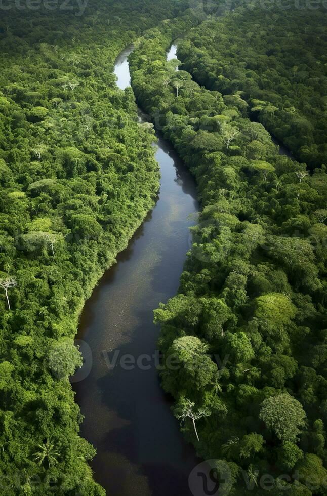 ai genererad antenn se av de amazonas djungel landskap med flod böja. generativ ai foto