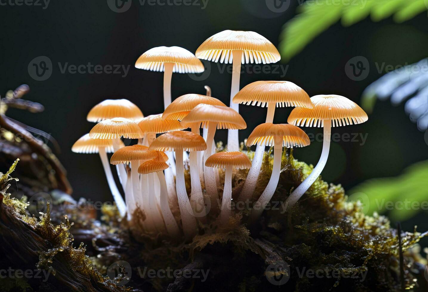 ai genererad hemimycena arter mairei. ai genererad. foto