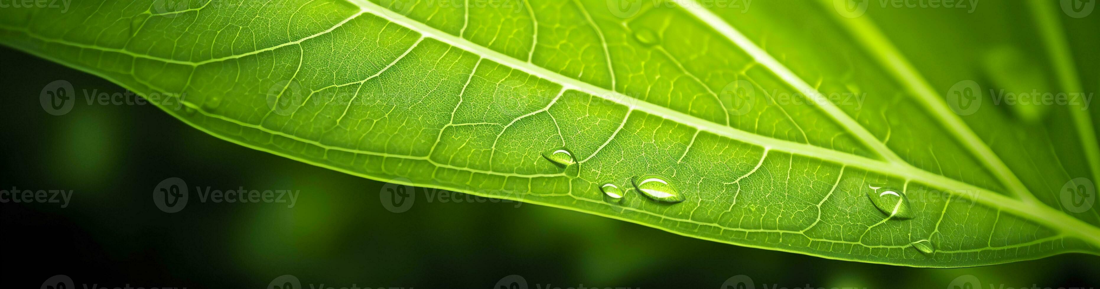 ai genererad grön blad natur bakgrund. ai genererad foto