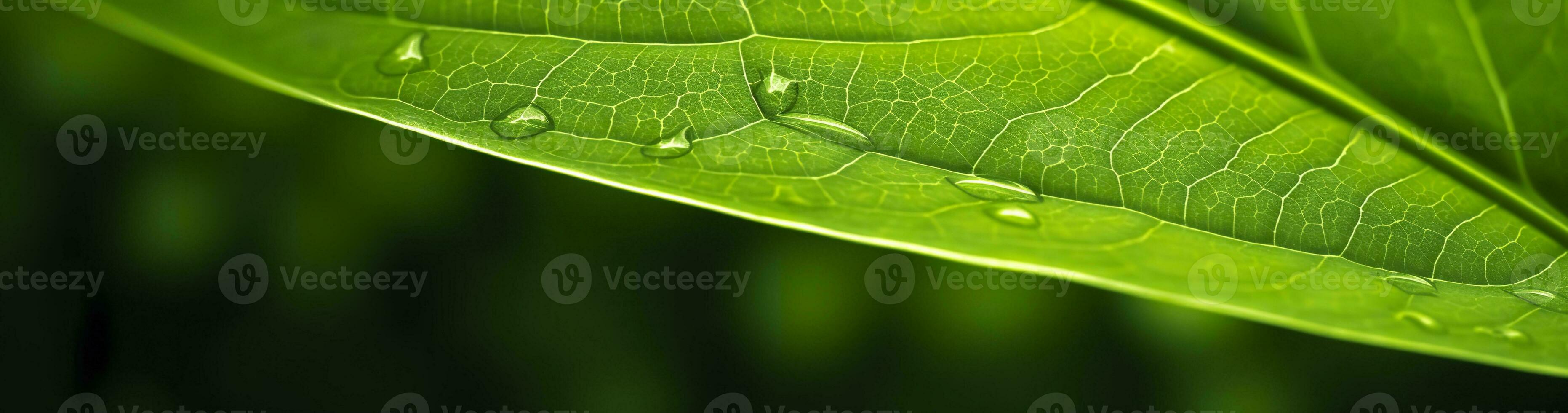 ai genererad grön blad natur bakgrund. ai genererad foto