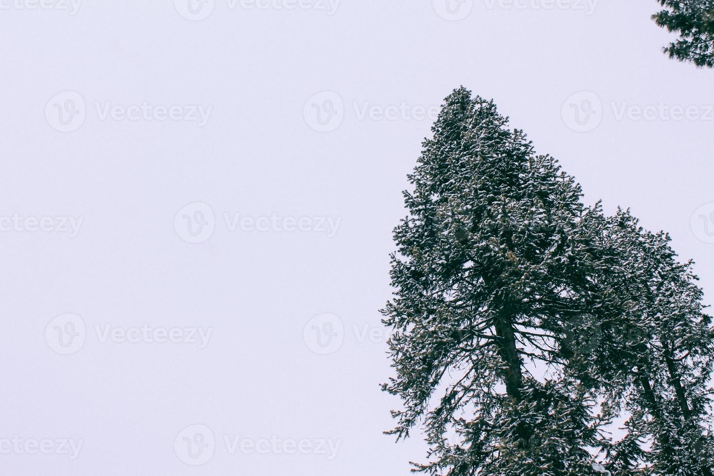 malam jabba och kalam swat landskap foto