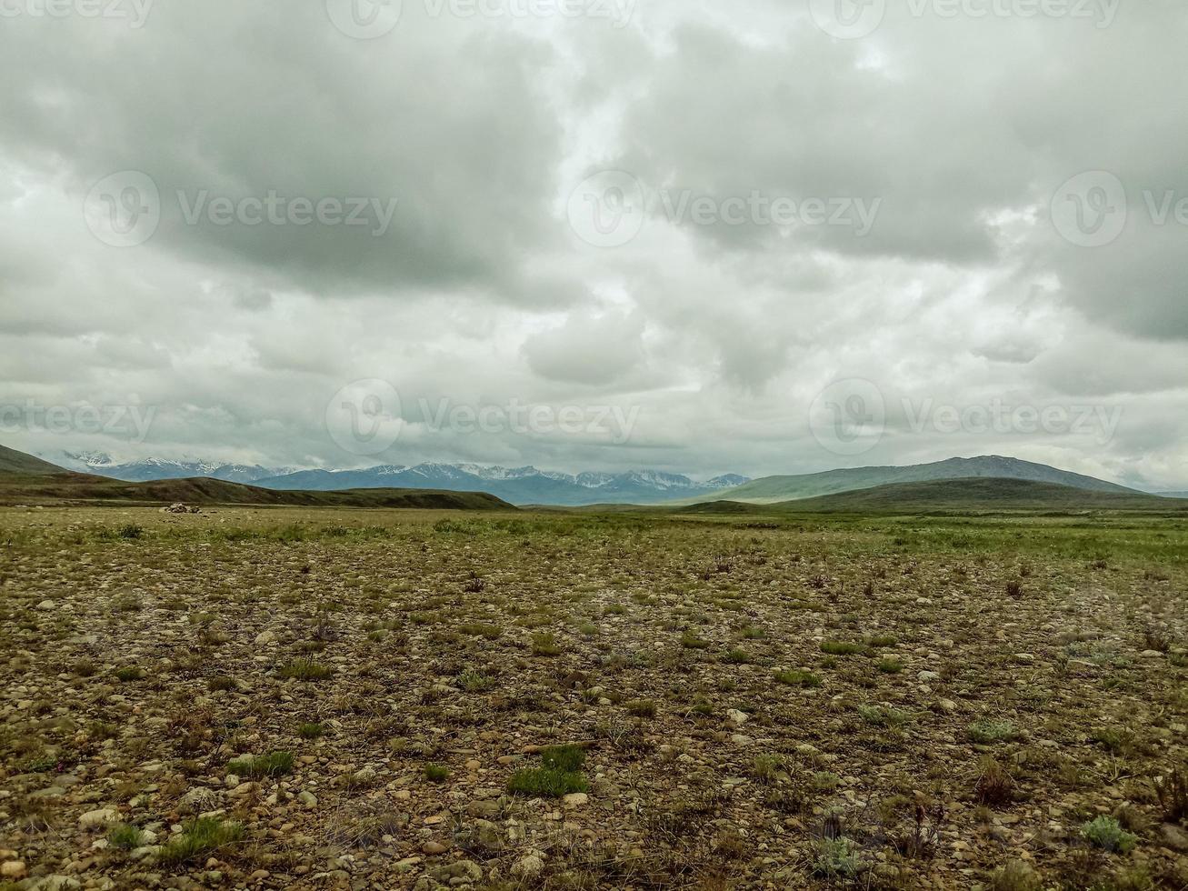 deosai nationalpark foto