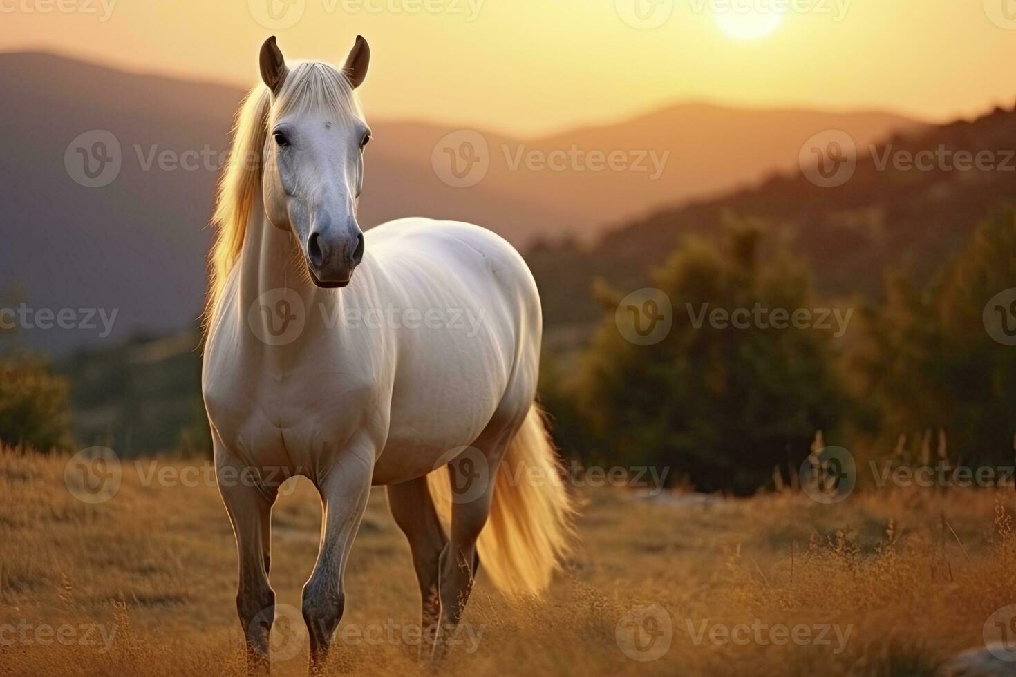 ai genererad vit häst eller sto i de bergen på solnedgång. ai genererad foto