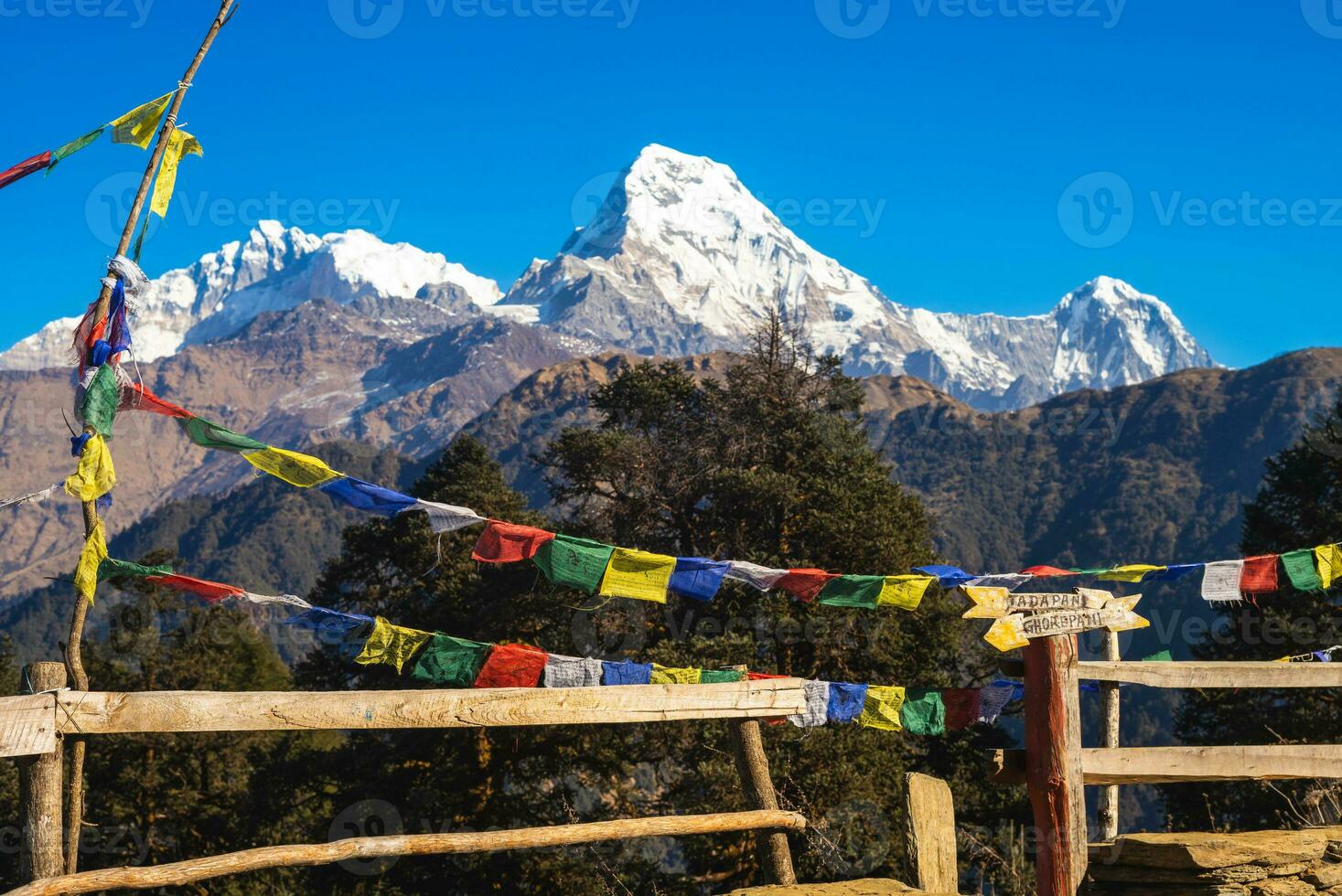 annapurna topp och bön flagga på poon kulle i himalaya, nepal foto