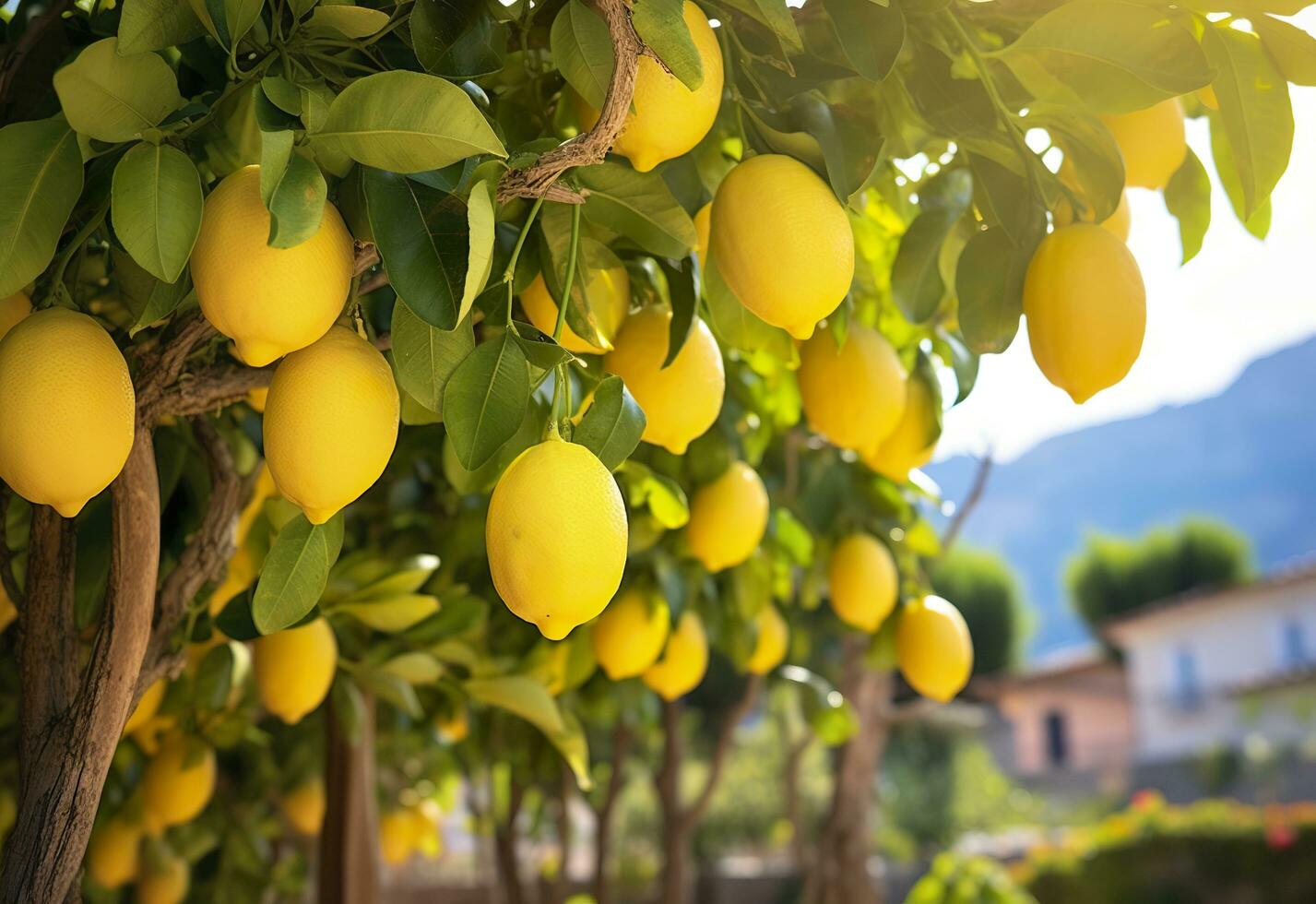 ai genererad citroner växande i en solig trädgård på amalfi kust i Italien. ai genererad foto