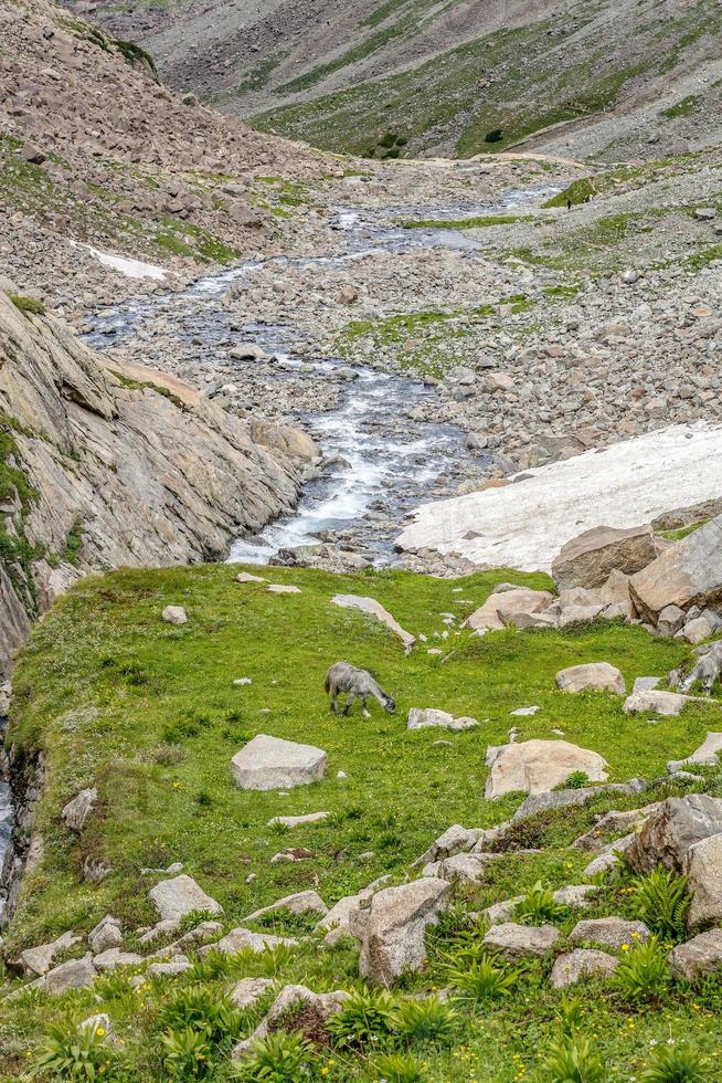 kumrat dalen vackert landskap bergsutsikt foto