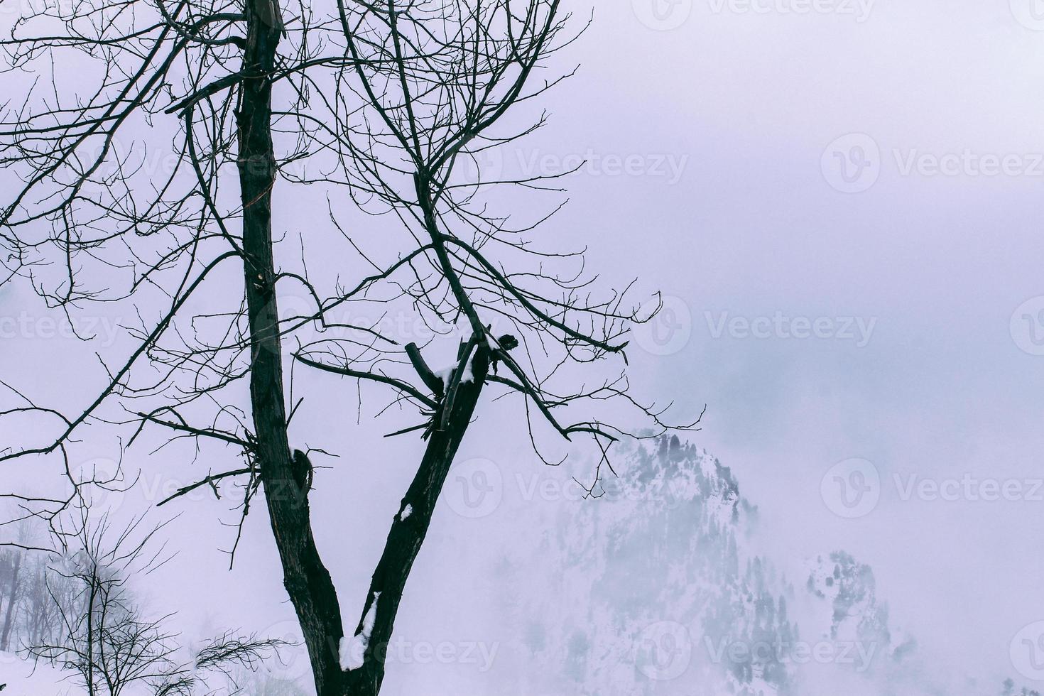 malam jabba och kalam swat landskap foto