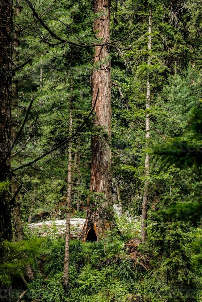 kumrat dalen vackert landskap bergsutsikt foto