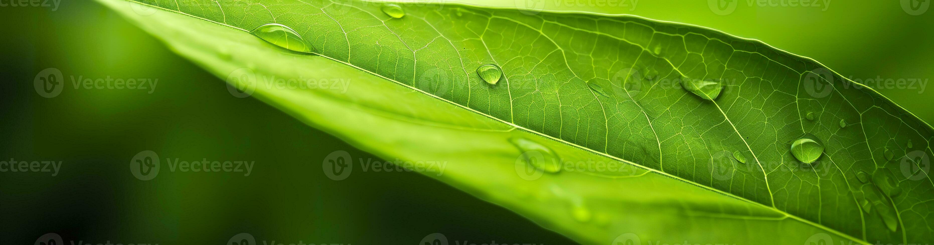 ai genererad grön blad natur bakgrund. ai genererad foto