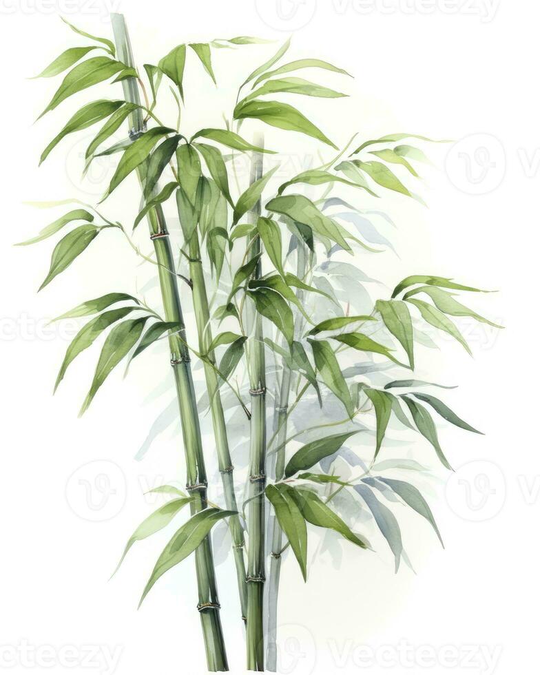 ai genererad vattenfärg bambu ClipArt isolerat på vit bakgrund. ai genererad foto