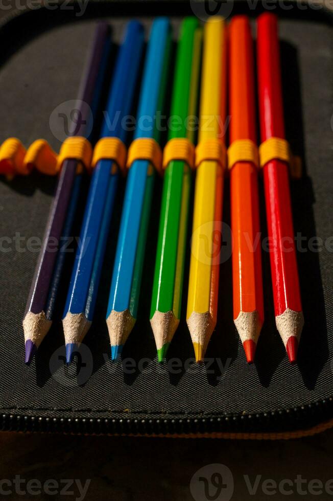 flerfärgad pennor i en skolpojkens penna fall foto
