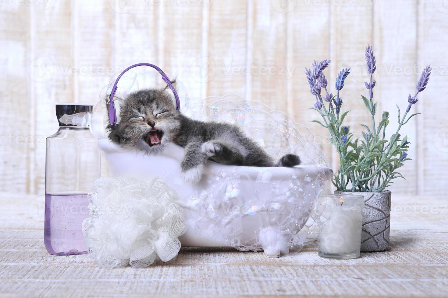 söt bedårande kattunge i ett badkar avkopplande foto