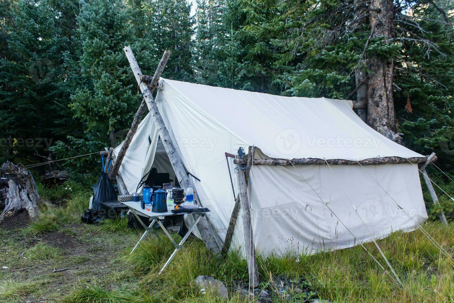 älg läger duk tält i colorado vildmark foto