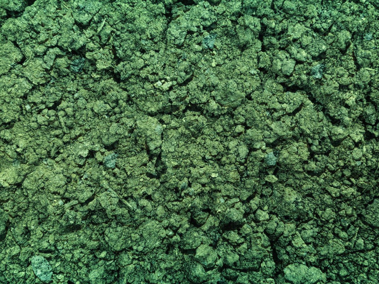 grönt vatten mark konsistens foto