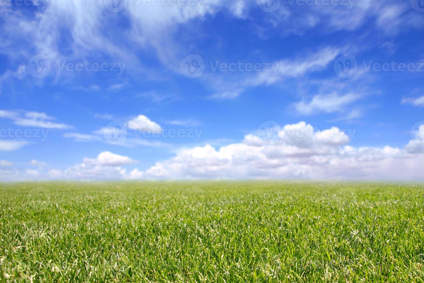 vackert fält med grönt gräs och blå grumlig himmel foto