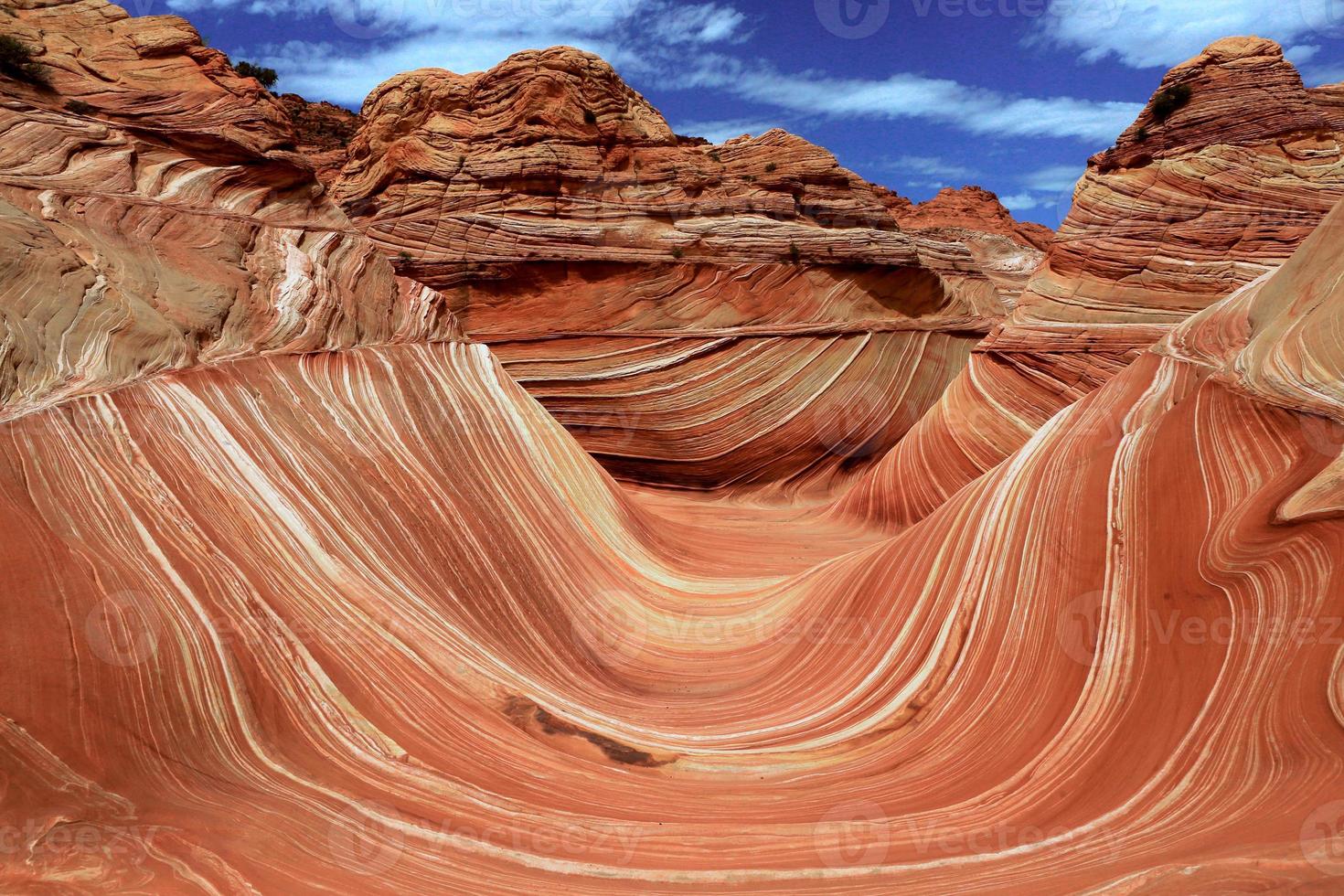 wave navajo sandformation i arizona usa foto