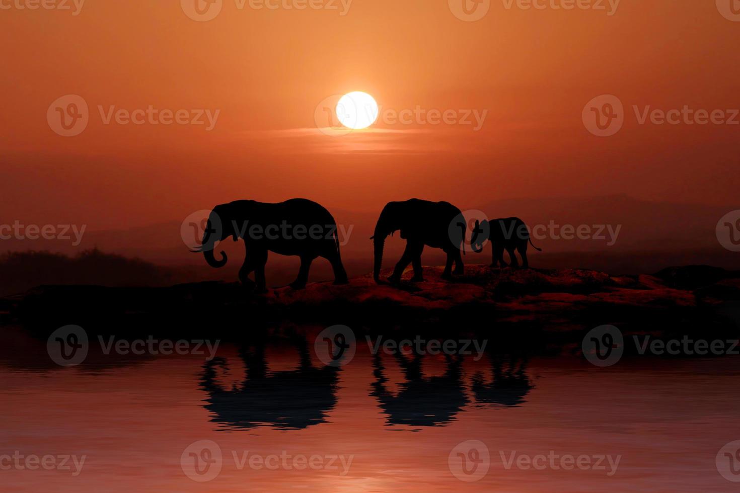 vacker silhuett av afrikanska elefanter vid solnedgången foto