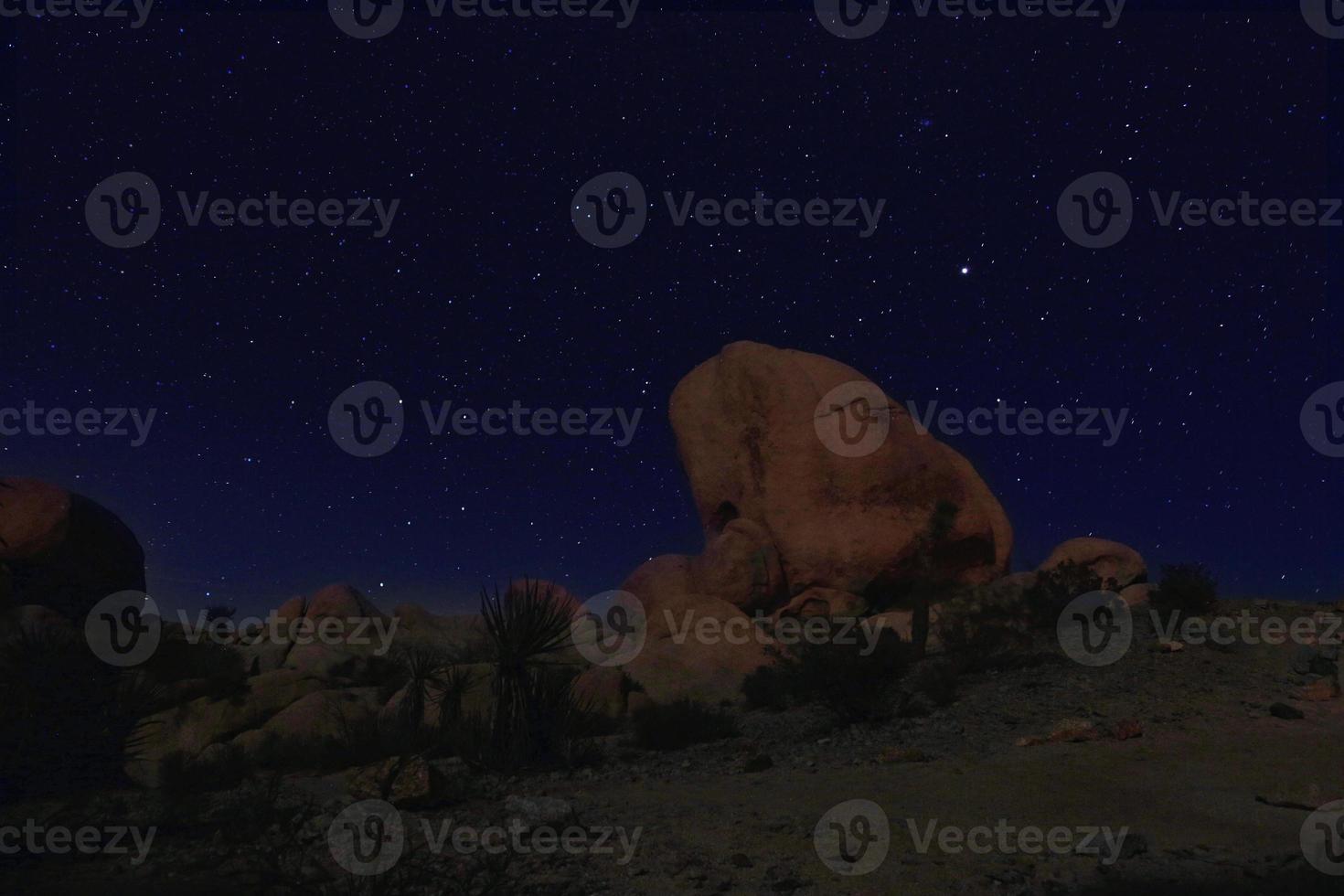 blå natthimlen i Joshua Tree National Park foto