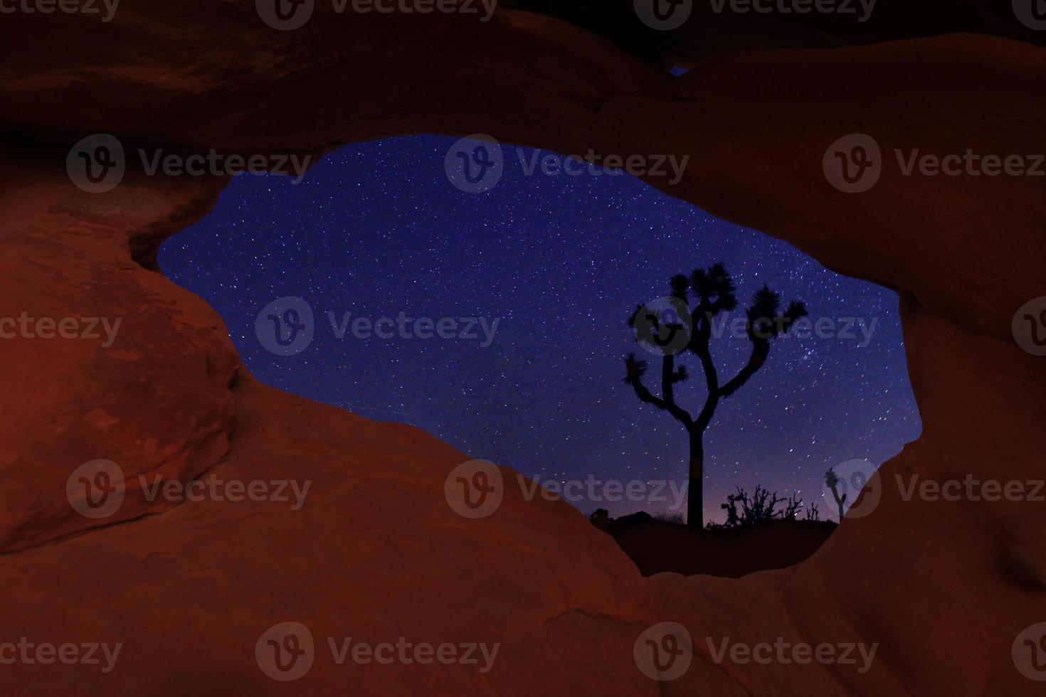 långa exponeringsstjärnor i Joshua Tree National Park foto