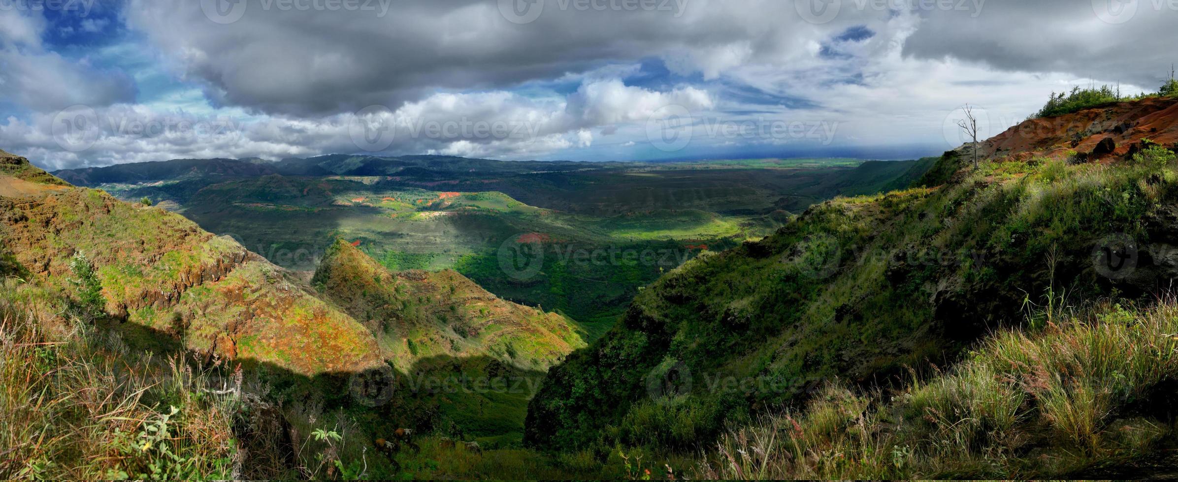 panoramautsikt över wiamea canyon i kauai hawaii foto