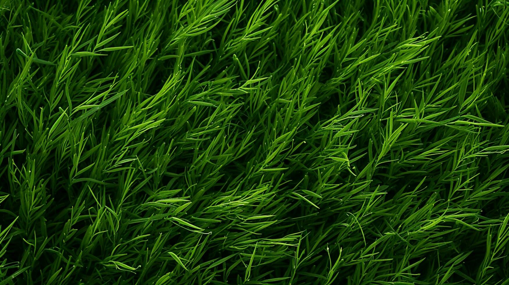 ai genererad gräs texturer bakgrund foto