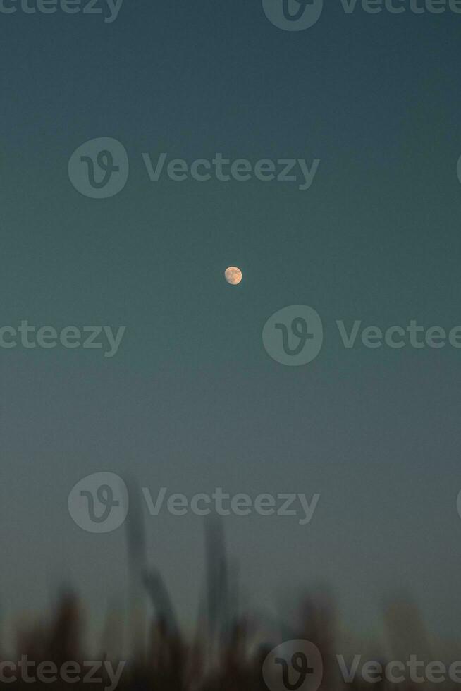 måne i dess full ära, upplyst förbi de sista lämningar av orange röd ljus från de Sol, i en mörk himmel. beskydy berg, tjeck republik foto