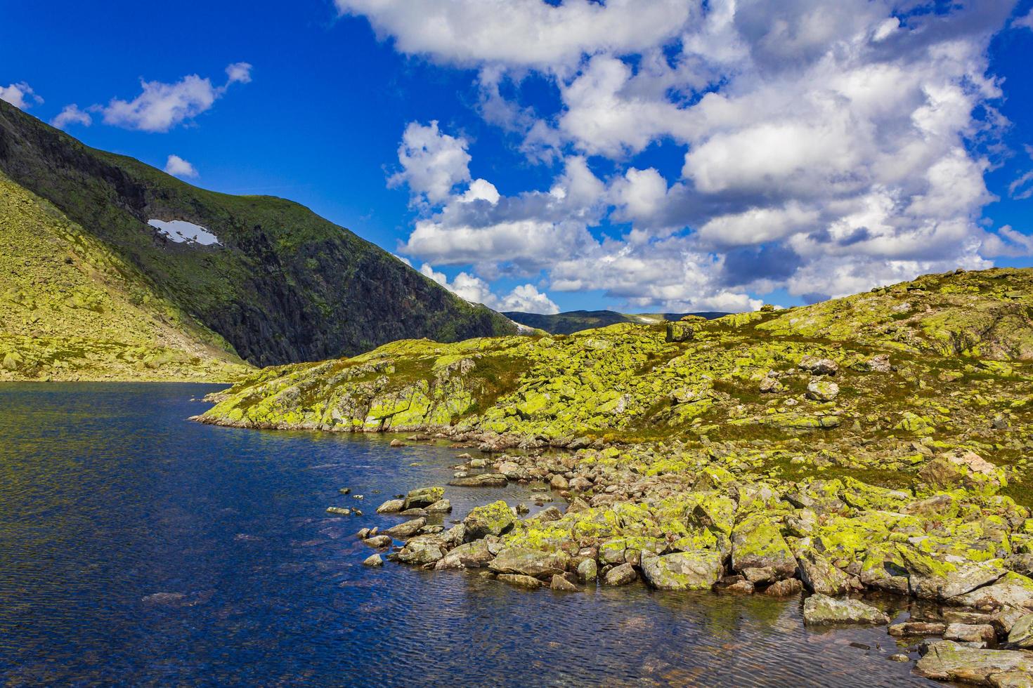 fantastiska norska landskapstenar och sjöstopp på toppen av berget foto