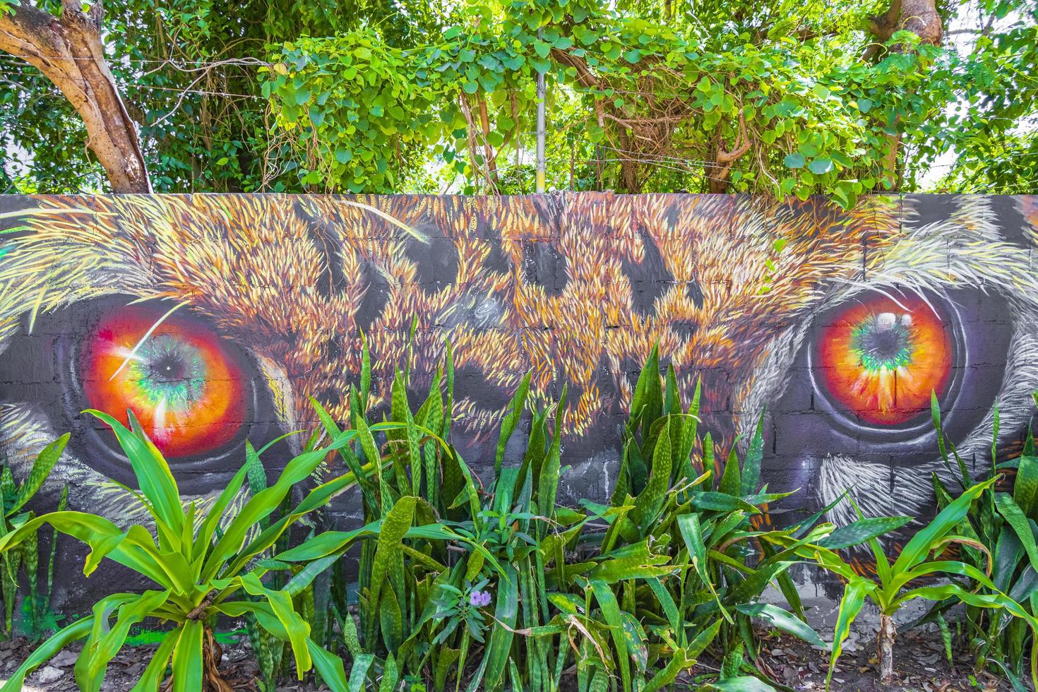 väggmålningar graffiti tiger leopard ögon playa del carmen mexico foto