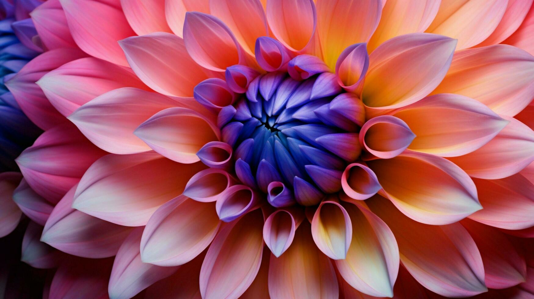 ai genererad vibrerande dahlia blomma en gåva av natur skönhet i makro foto