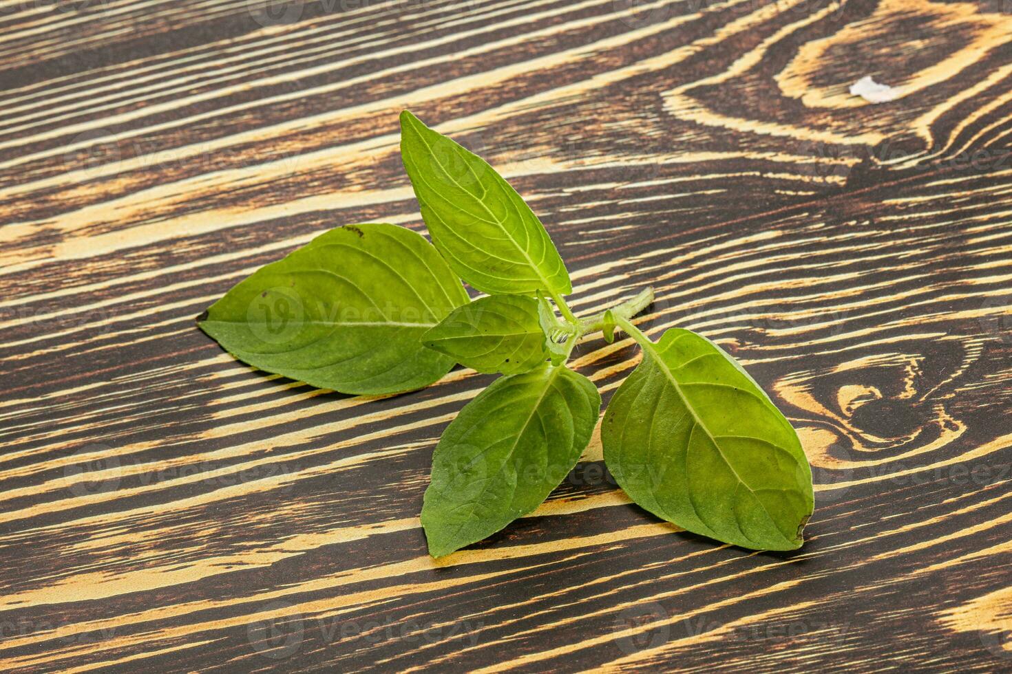 rå grön basilika löv krydda foto
