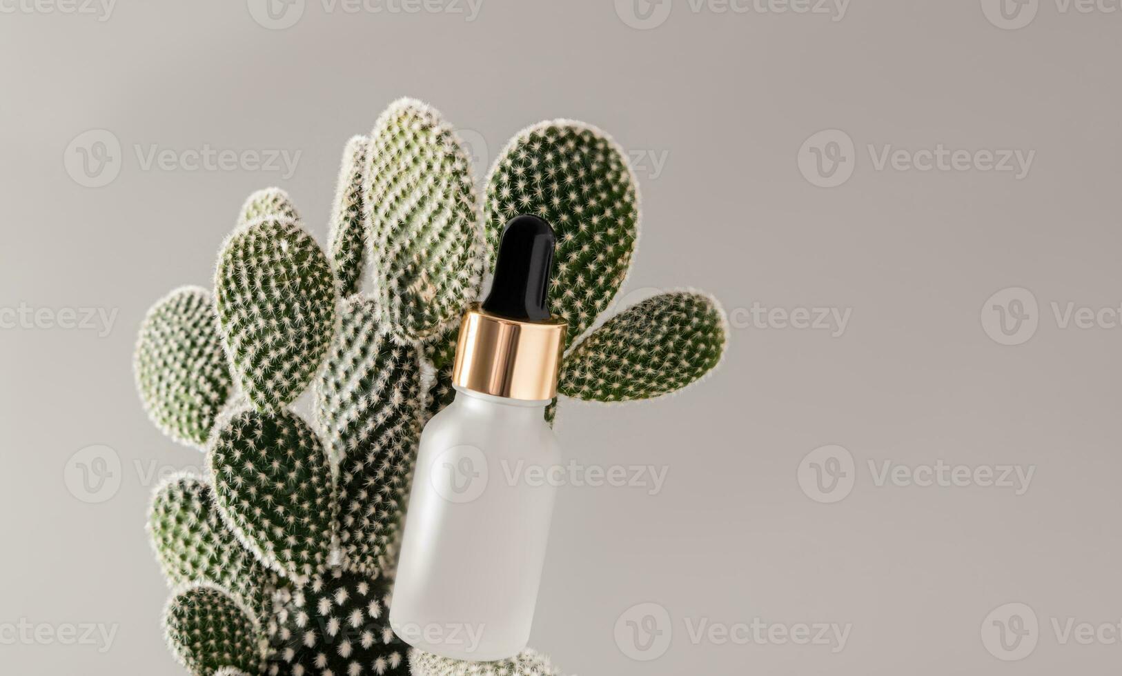 kosmetisk matt flaska med dropper med naturlig ansikte och kropp hud vård produkt bland tjock kaktus löv. ekologisk naturlig kosmetika begrepp foto