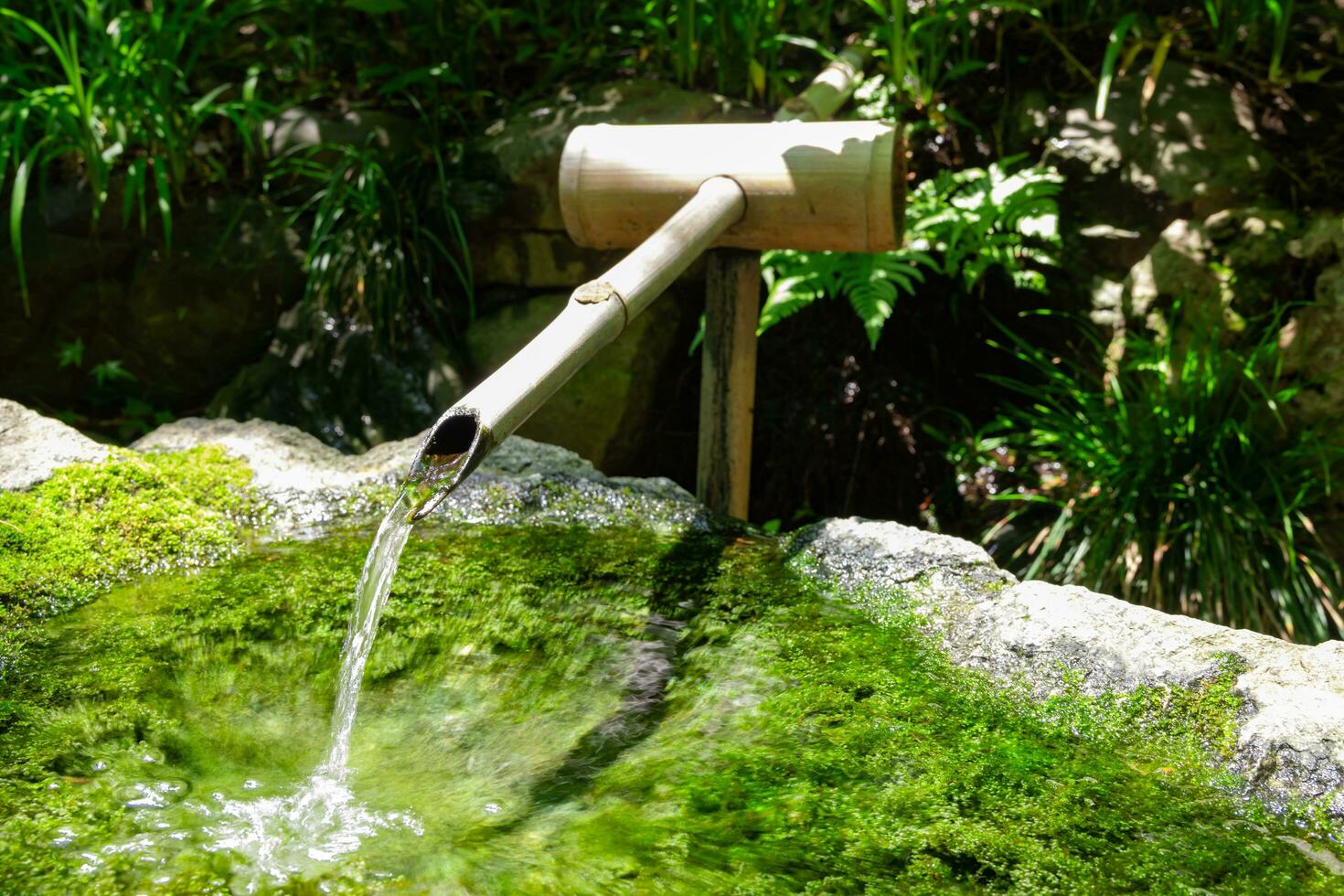 en japansk bambu vatten fontän shishi-odoshi i zen trädgård foto