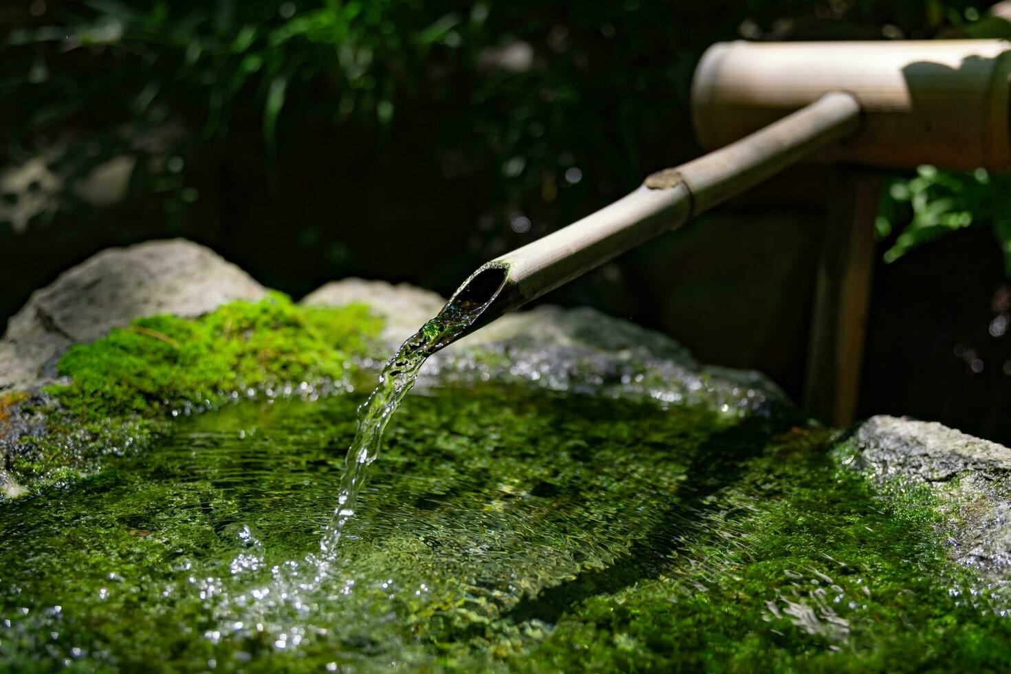 en japansk bambu vatten fontän shishi-odoshi i zen trädgård foto