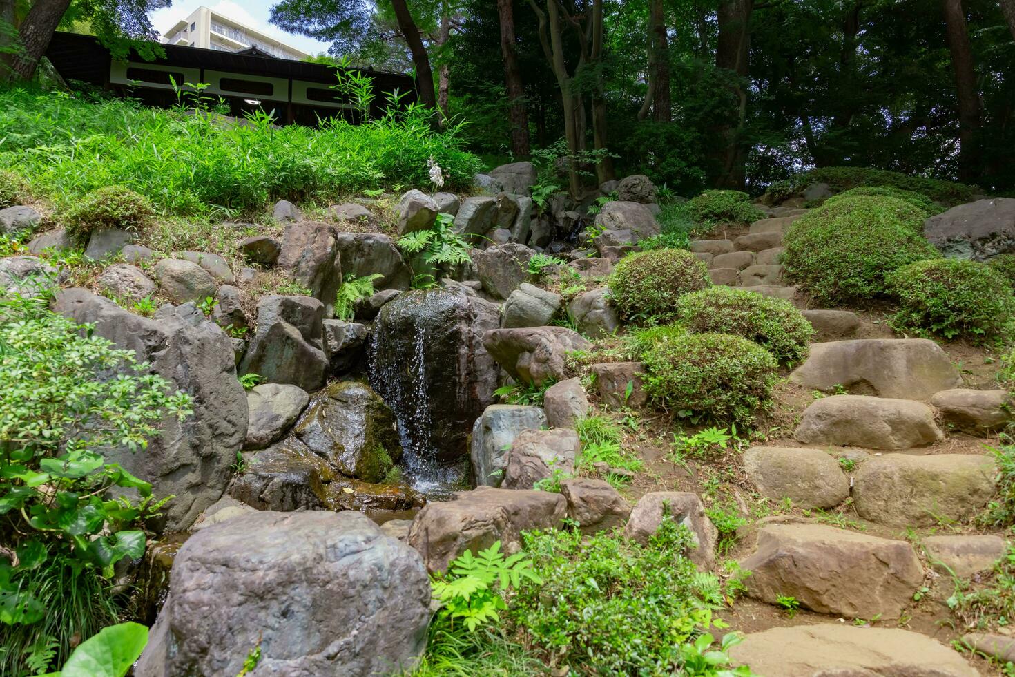 en japansk trädgård damm på tonogayato trädgård i sommar solig dag foto