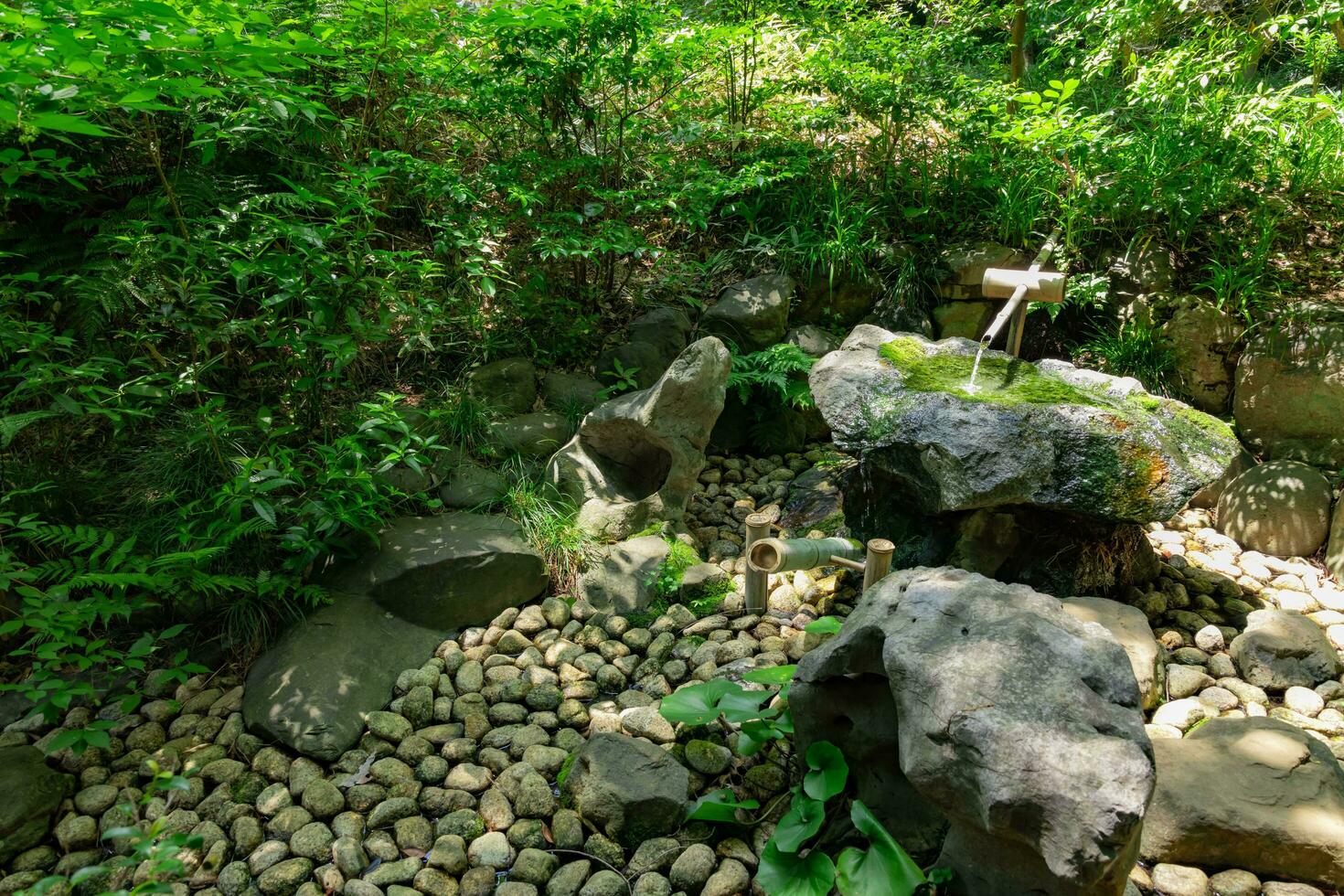 en japansk bambu vatten fontän shishi-odoshi i zen trädgård foto