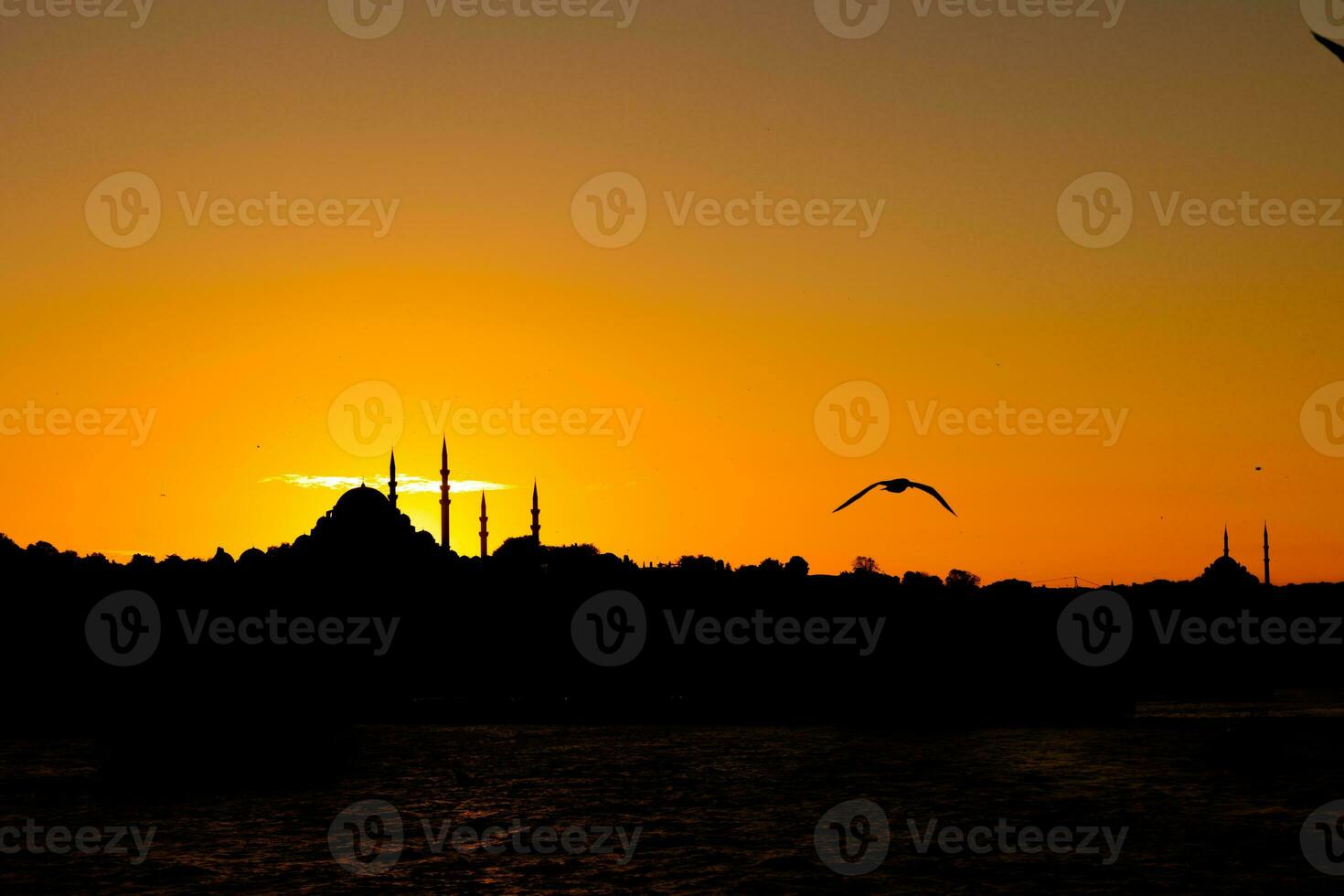 silhuett av istanbul på solnedgång med en fiskmås och moskéer. foto