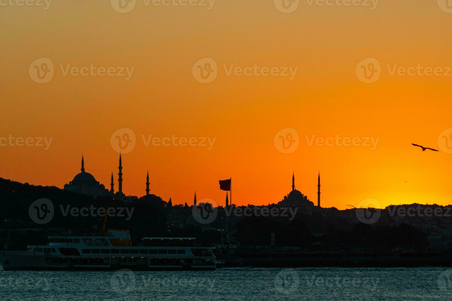 silhuett av istanbul på solnedgång. suleymaniye och fatih moskéer med fiskmås foto