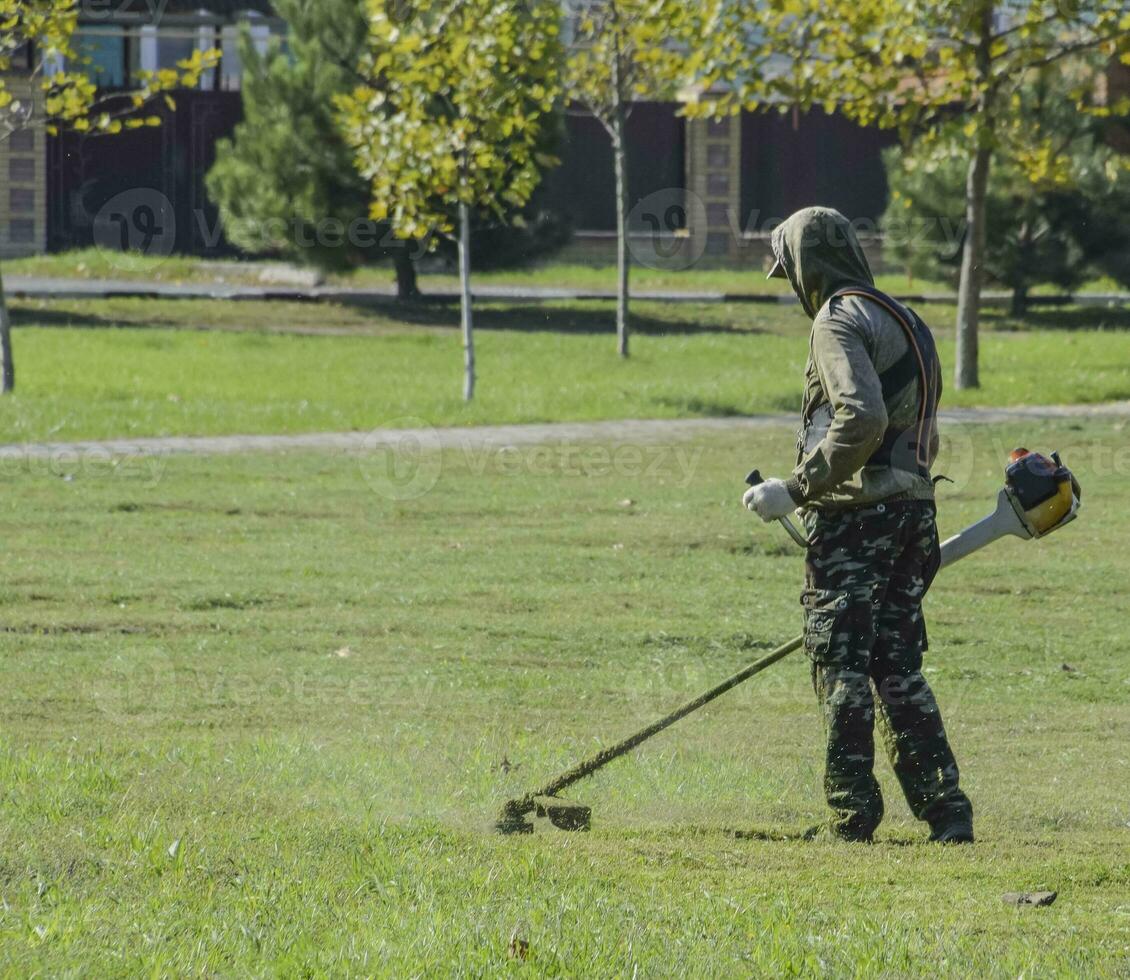 arbetstagare klippning de gräsmatta. klippning gräs trimmer foto