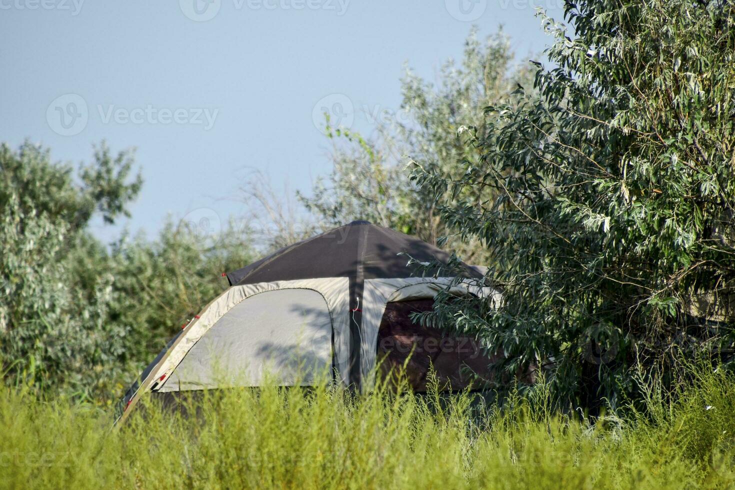 turist tält under en träd. turist camping. multi-tält foto