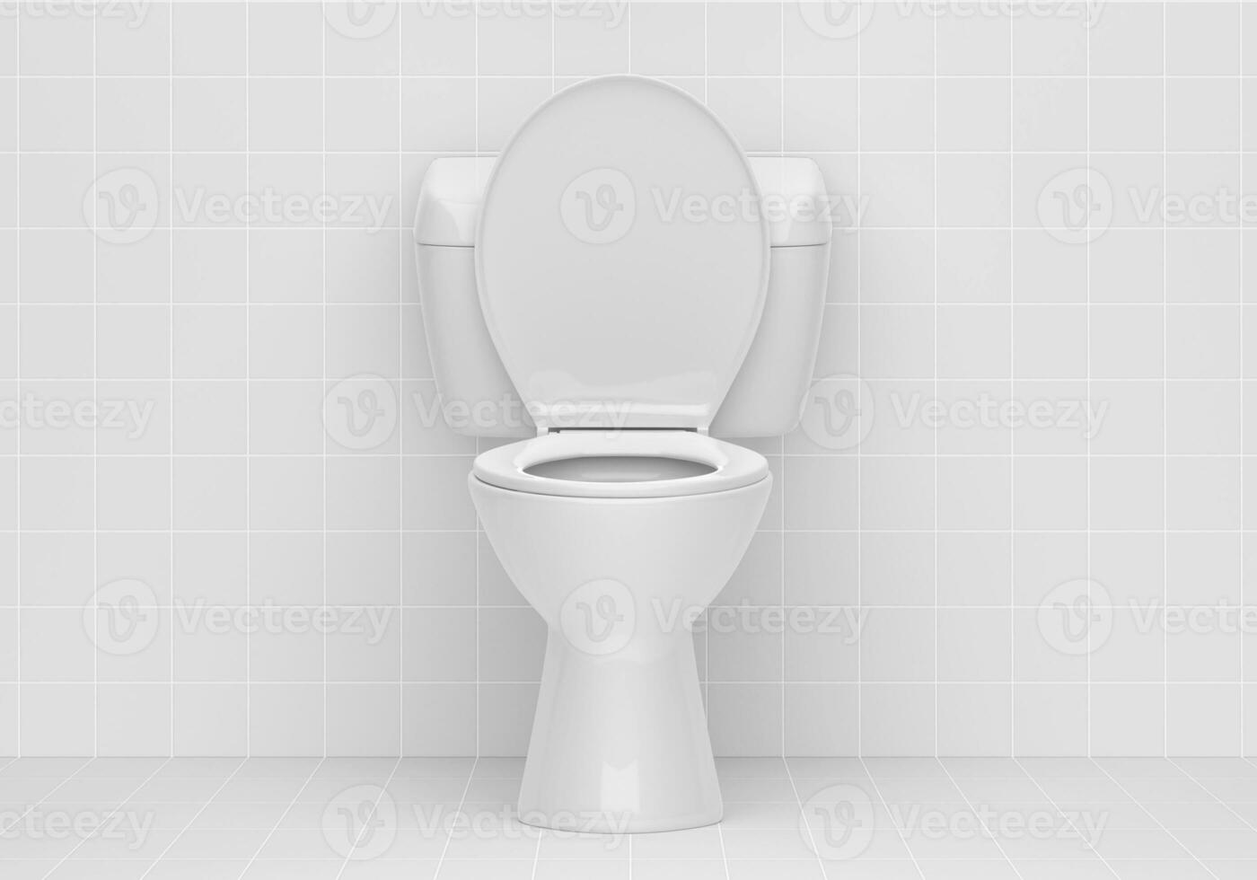 toalett skål i de badrum foto