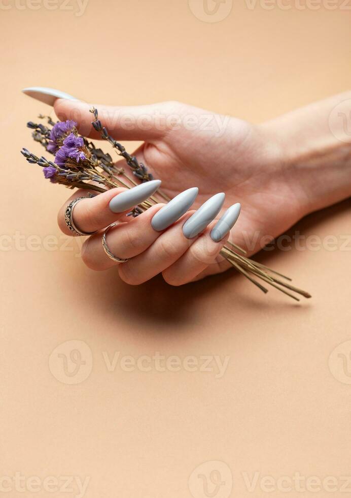 närbild av en kvinnas händer med grå välskött naglar foto