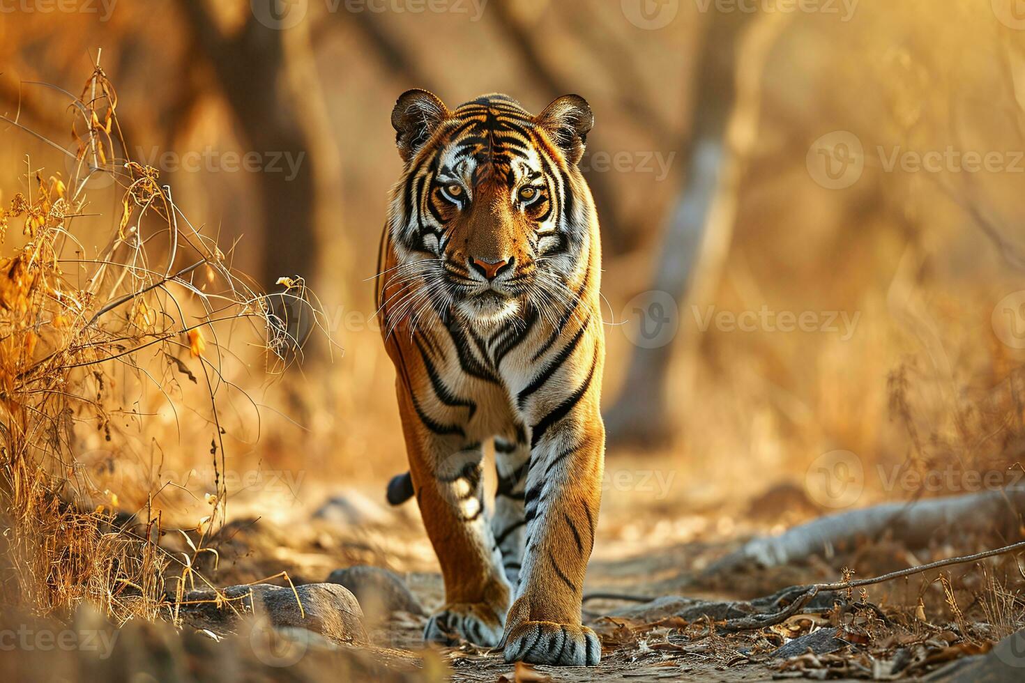 ai genererad bild av en tiger gående i de skog foto