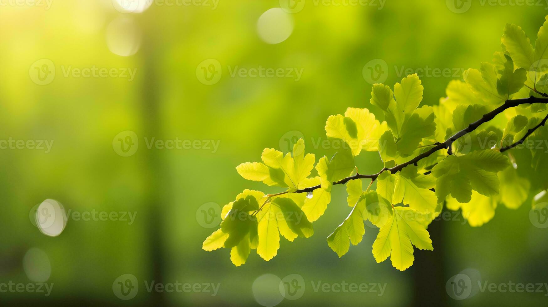 ai genererad gren med grön löv, kopia Plats. foto