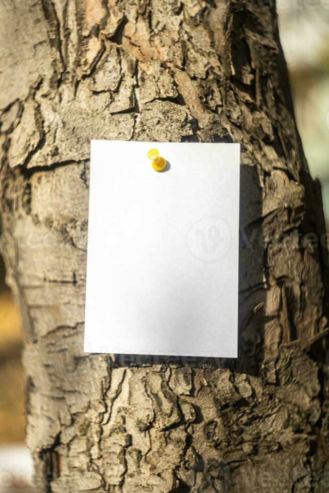 bakgrund med papper attrapp för notera eller meddelande foto