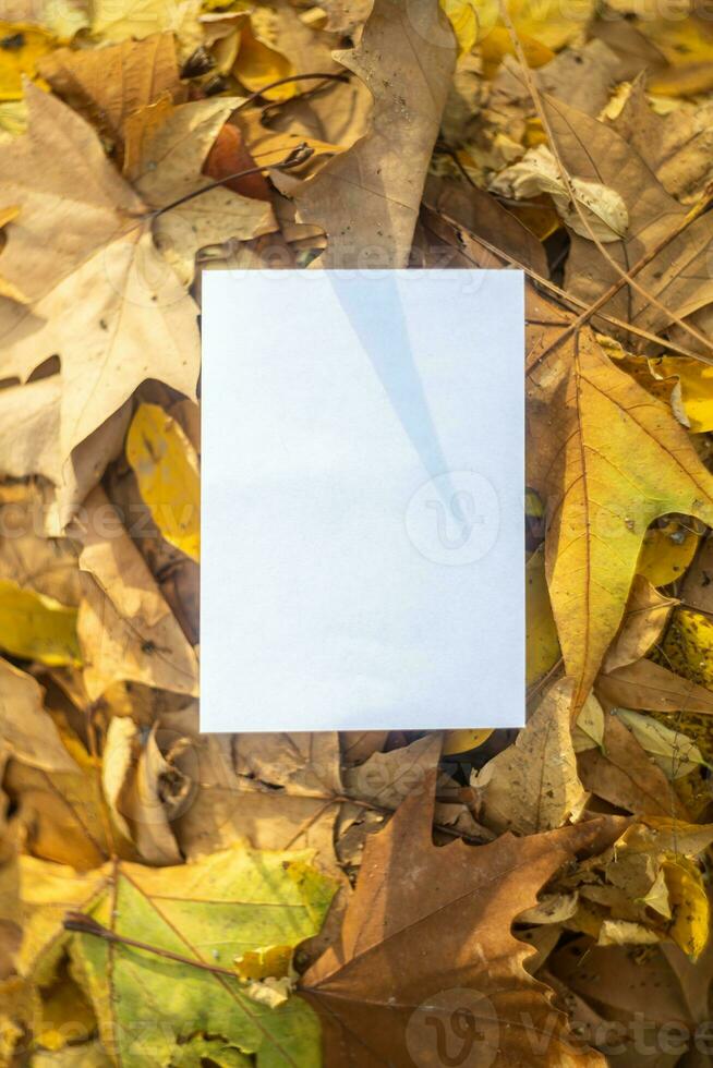 höst layout attrapp med gul och orange löv med vykort för din text foto