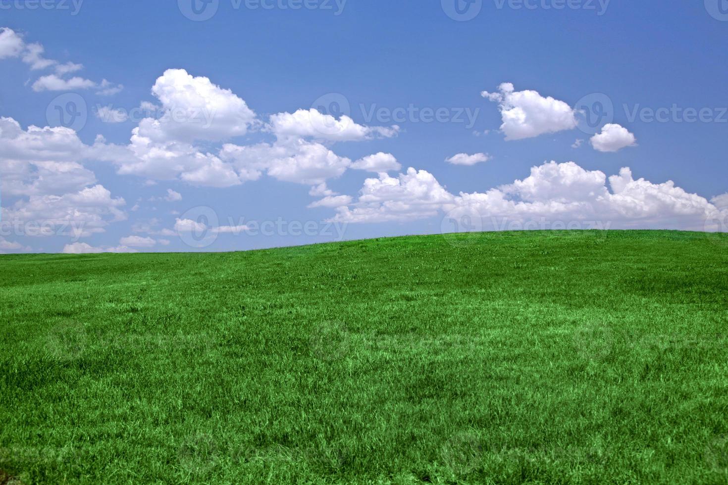 grönt gräs och blå himmel bakgrund med kopia utrymme foto