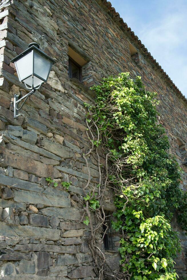 traditionell sten hus med klättrande växt. patones de arriba, madrid foto