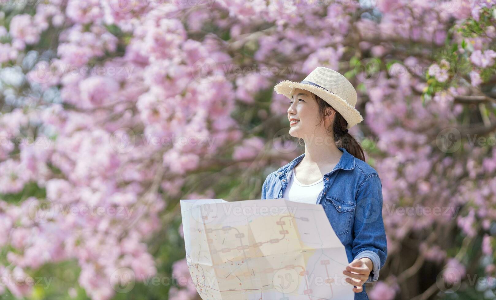 asiatisk kvinna turist innehav stad Karta medan gående i de parkera på körsbär blomma träd under vår sakura blomma festival foto
