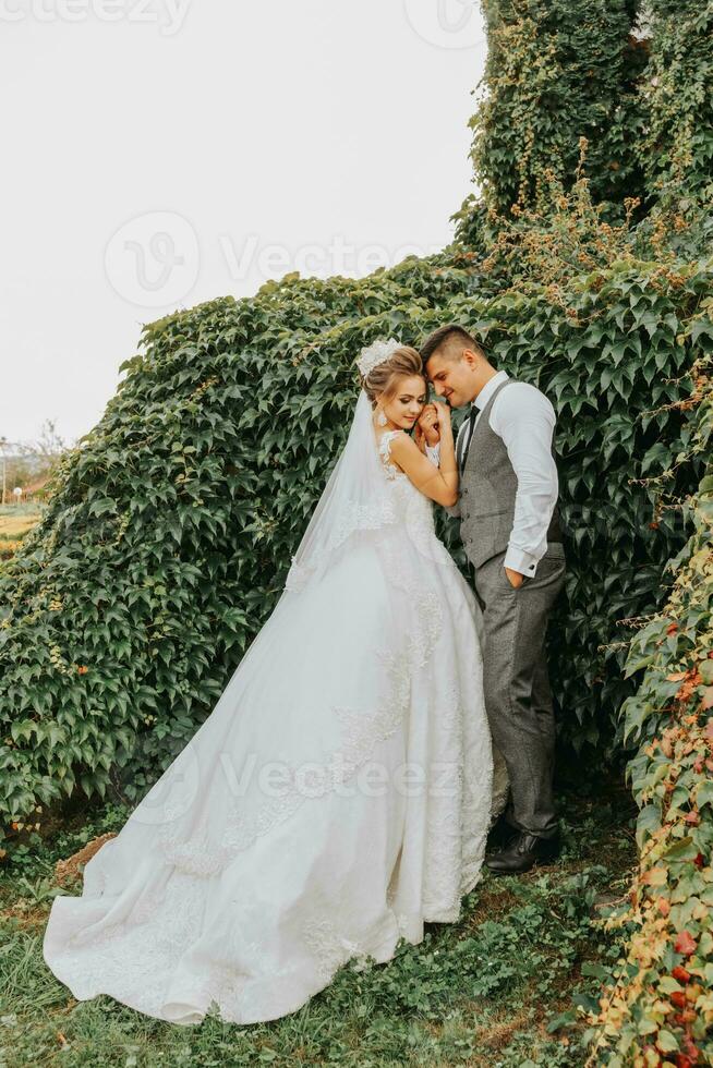 brud och brudgum i de trädgård bland grönska. kunglig bröllop begrepp. chic brudens klänning med en lång tåg. ömhet och stillhet. porträtt fotografi foto